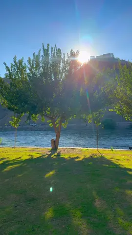#دوکان 📸 