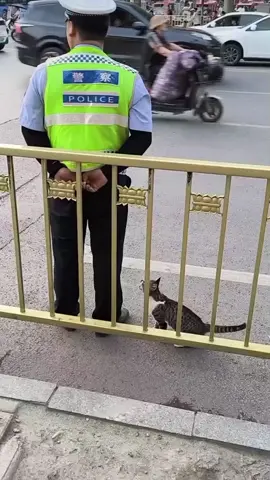 # so wonderful example value 