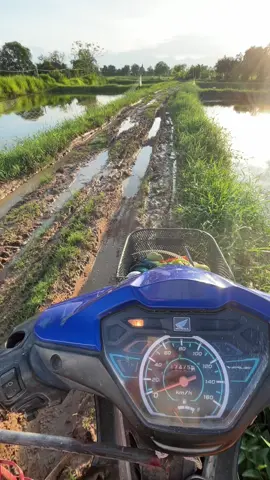 สวรรค์บ้านนา