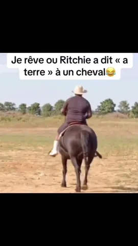 😂😂😂