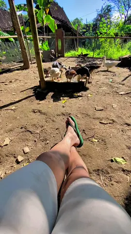 Persiapan mandi sore#mentoklokal#fypage #foryoupage #boyolali24jam #masukanberanda #4you @SemuaOrang_