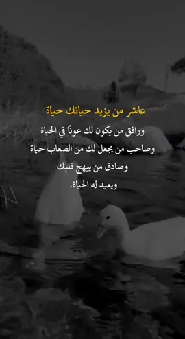 عاشر من يزيد  حياتك حياة#fyp #you #اعادة_النشر #اكسبلورexplore❥🕊 