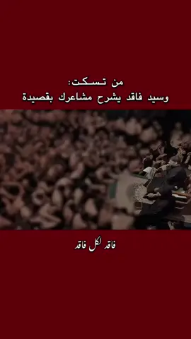 #سيد فاقد _العشق_كربلاء المقدسة _العشق والعاشقين
