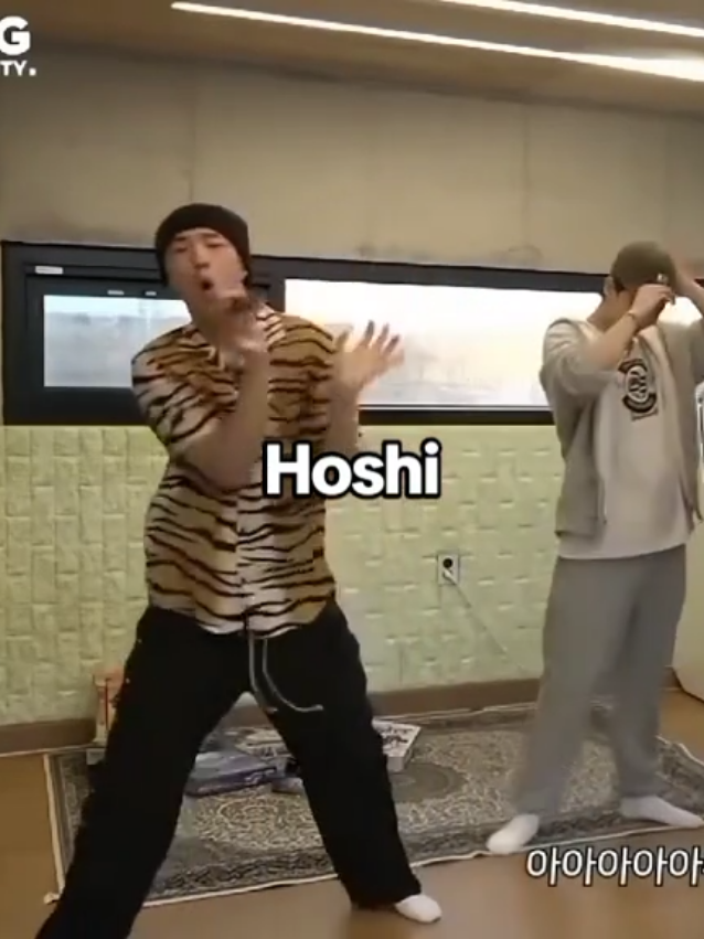 lucu siii, tapi kadang sama sekali gk ketebak kelakuannya😭🤗🤏🏻🐯#hoshi #hoshiseventeen #kwonsoonyoung  #carat #carats #seventeen #seventeen17_official #core #justforfun #kpop #kpopers #fyp #fypage #fyppppppppppppppppppppppp #beranda #berandatiktok 