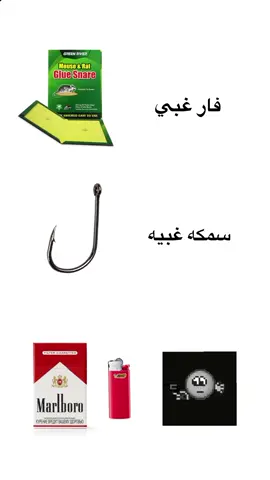 فعلللآ👀#libya🇱🇾 #🇱🇾 #انسان #غبي #سمكه 