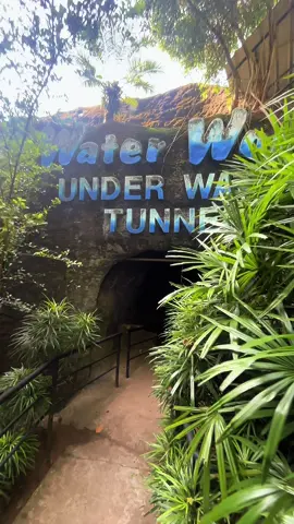 #waterworldkelaniya #kelaniya #boatsafari #waterworld #birdpark #riversafari #waterworldshow #srilanka🇱🇰 #visitsrilanka🇱🇰 #donlankaprasad #fyp #foryoupage #viral 