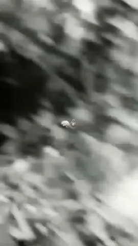 acid vs masalalunya #fyppp #masalalu 