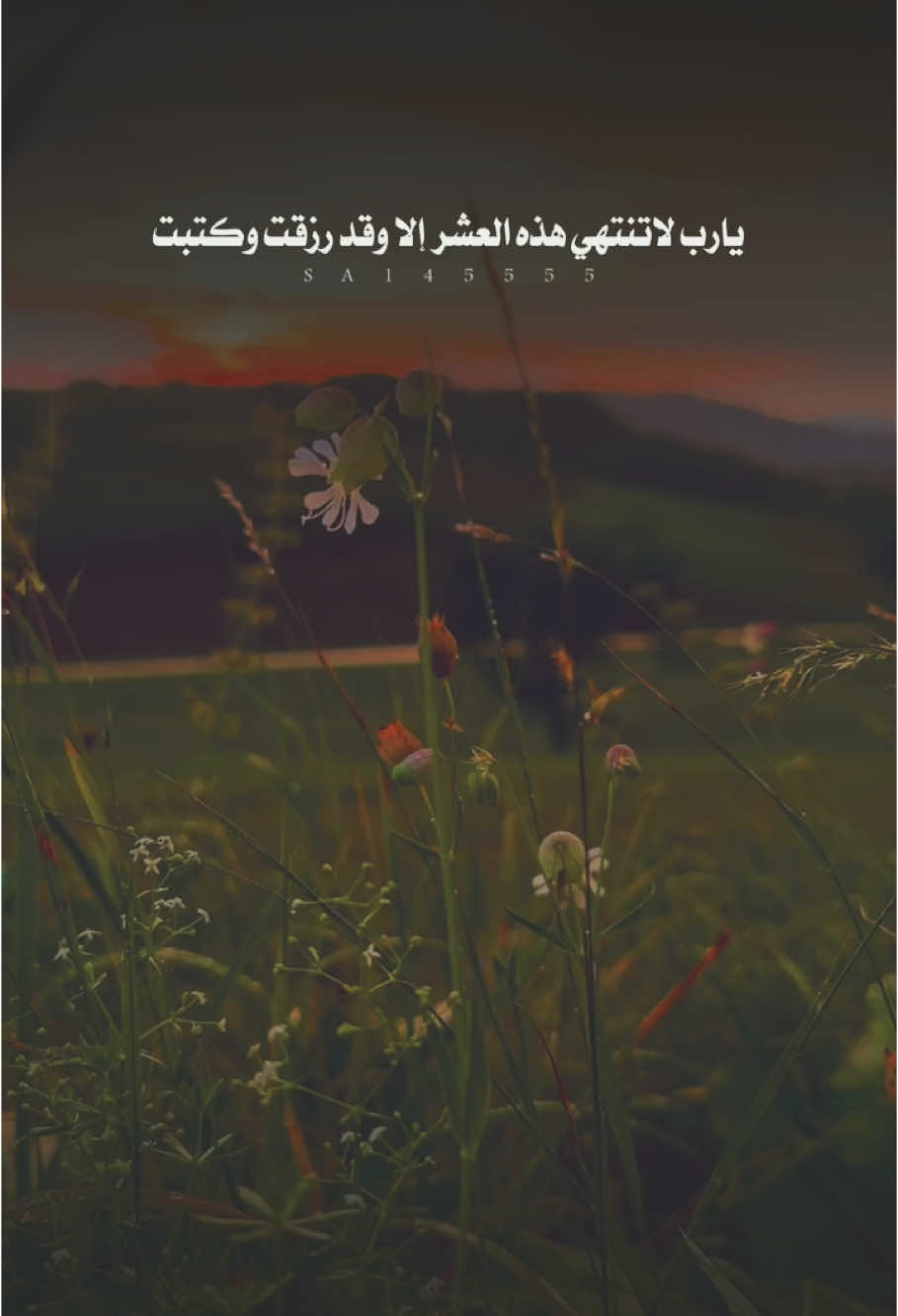 يارب 🤲 