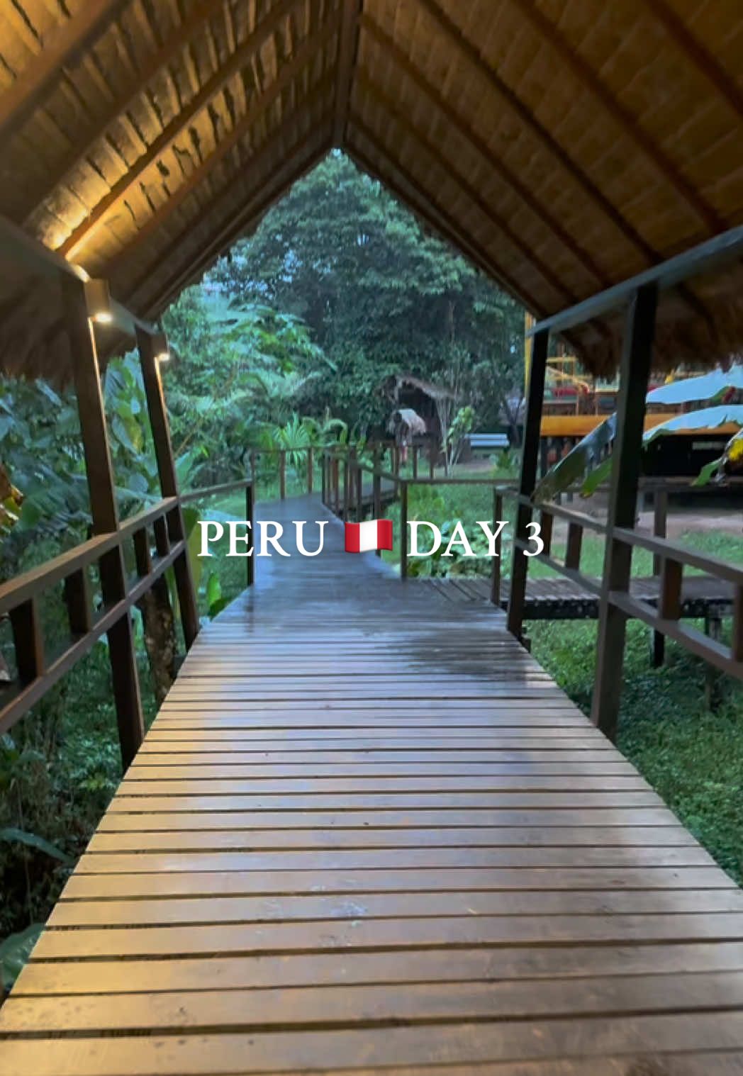 Amazon Day 3! 🇵🇪 #peru #travelinspiration #travelperu #travelitineray #peruitinerary #perutravel #thingstodoinperu #peruguide #perutrip #perutour #amazonrainforest #amazonjungle #amazonrainforest #peru #travelperu #southamerica #traveltiktok #travelvlog