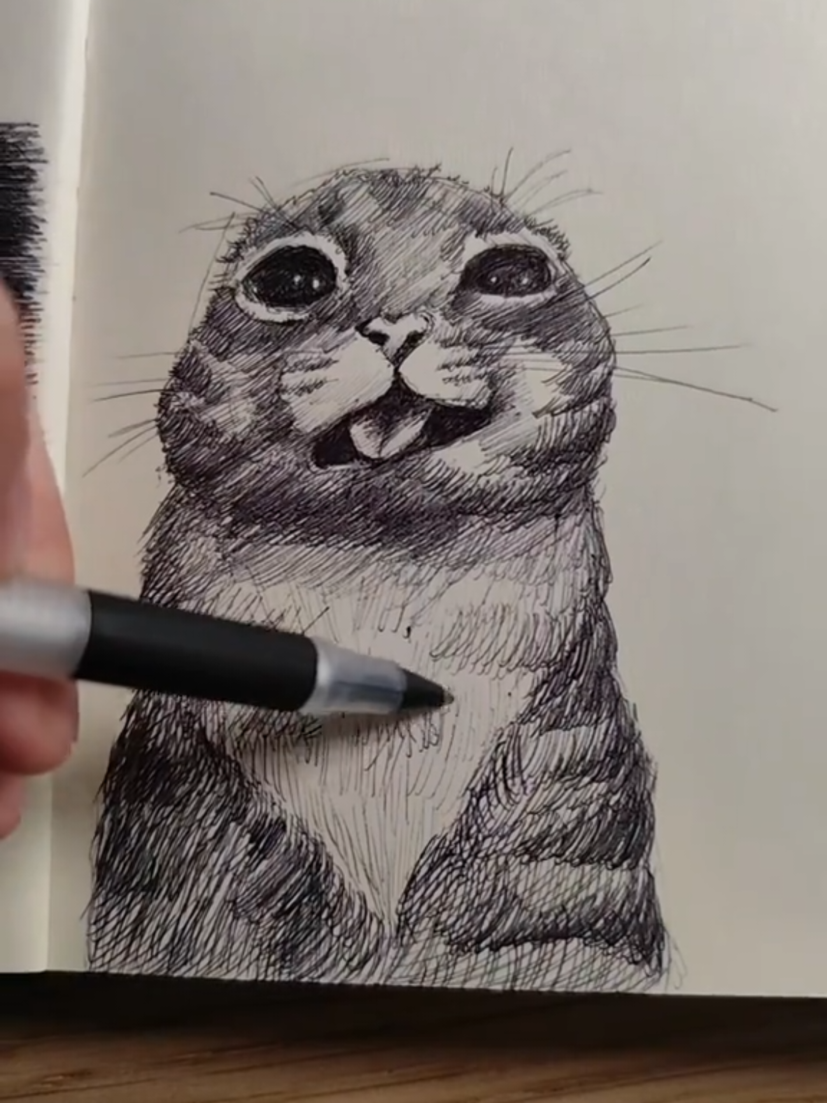 drawing @iamrigbycat :)  follow for more! #cat #cats #drawing #meme #fy #fyp #sketch #art #rigbycat 