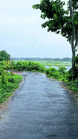 বৃষ্টি সময় ছাতা দিয়ে হাটার মজাই আলাদা 🌧️🙌 #fype #villagelife #naturelover #rainyday 