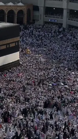 #اللهم #امين #يارب🤲 #العالمين #🤲🏻🕋🤍 #جمعة_مباركة #جمعة_مباركة_عالجميع #يارب🤲 #🤲🏻🕋🤍 