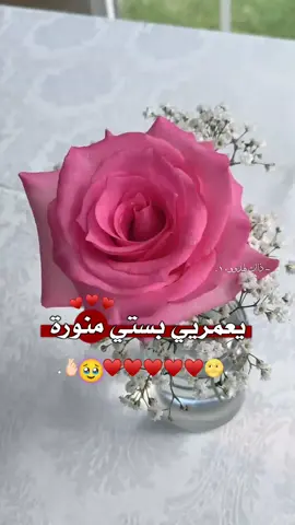 #تصميمي🤌 #وهيكااا🙂🌸تابعووني🙂💔 #شروحاتي🎀🖇️ #مجرد_ذوق #@♡طـــ🕊ــيࢪه 515 ♡ 