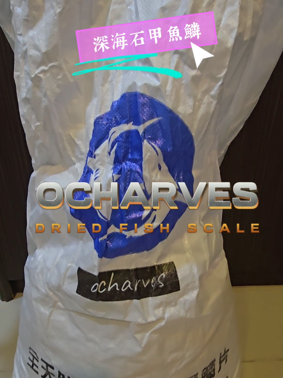 Ocharves Dried Fish Scale  深海石甲魚鱗  #ocharves #driedfishscale #深海魚鱗  #魚鱗 #魚鱗凍 #sisikikan 