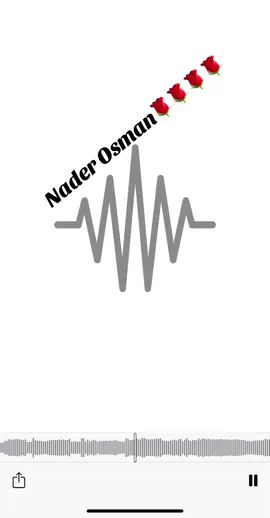 #raschidmoussa #mardellihochzeit #mardelli47 #rajdiye #mardin #mounirhassan #fadihassoun #naderosman #viral #fyp 