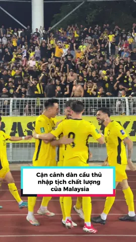 Dàn sao nhập tịch của Malaysia thật đáng sợ #bongdavietnam #malaysianationalteam #bdvn #fyp #xh #SportsonTikTok #doituyenvietnam #xuhuong #tiktok #dtvn #bukitjalil #malaysia #hoangduc #dđouymanh 