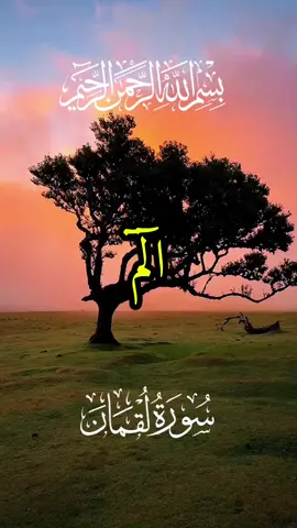 #قرآن_quran #الم_تلك_آيات_الكتاب_الحكيم #سورة_لقمان #عبد_الباسط_عبد_الصمد #الحنجرة_الذهبية #مزامير_آل_داود #القرآن_الكريم #quran_alkarim #آيات_قرآنية #تلاوات_قرآنية #تلاوات_خاشعة #الذكر_الحكيم #راحة #أرح_سمعك_وقلبك #قرآن_بصوت_جميل #foryoupwge #fypシ゚viral #اكسبلورexplore 