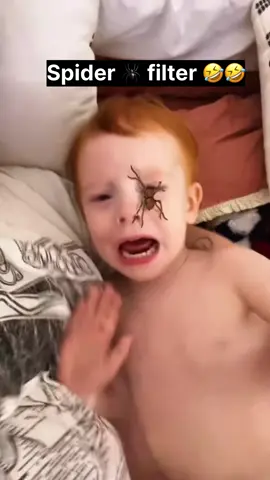 Funny spider filter prank 🤣😂🤣 #funnypranks #scarecam #scareprank #jumpscare #funnytiktok #funnyvideos😂 #funnymoment #laugh #hilarious #fail #humor #fyp #unitedstates #unitedkingdom #america #USA #UK 
