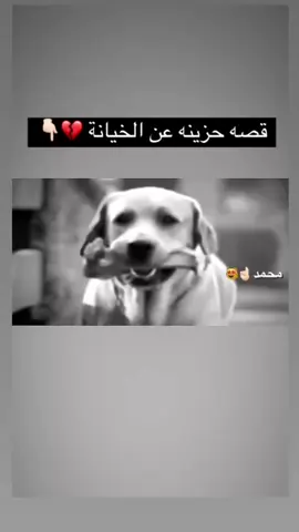 حزين جدا 👆🏻😭#اكسبلور #الخيانة #اكسبلور #foryoupage #yourpage #explore #yourpage #الشعب_الصيني_ماله_حل😂😂 #السعودية #العراق #yourpage #اكسبلور #الشعب_الصيني_ماله_حل😂😂 #خُـــــوقـــــيـــــت #foryoupage #yourpage #الشعب_الصيني_ماله_حل😂😂 #حزين 