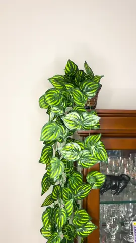 Arranjo decorativo pendente  3 modelos #hera  #plantas #decoration #decor #verde 