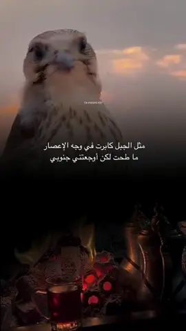 مثل الجبل في وجه الإعصار #الشعب_الصيني_ماله_حل😂😂 #مساء_الخير #مساء_الخير #مالي_خلق_احط_هاشتاقات #حركة_إكسبلور #تصميمي #قصيد #خواطر #explore #fyp 