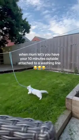 It’s playtime 😂 @I Can’t Even (via:@Amy Rowlands) 