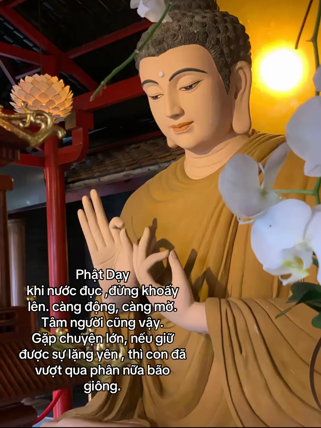 Phật Dạy  khi nước đục ,đừng khoấy lên.  càng động, càng mờ.  Tâm người cũng vậy.  Gặp chuyện lớn, nếu giữ được sự lặng yên , thì con đã vượt qua phân nữa bão giông.#pháp #phatphap #phatphapvobien 