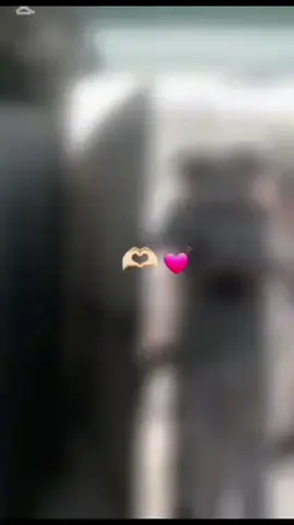 في بيتنا خروج سجين