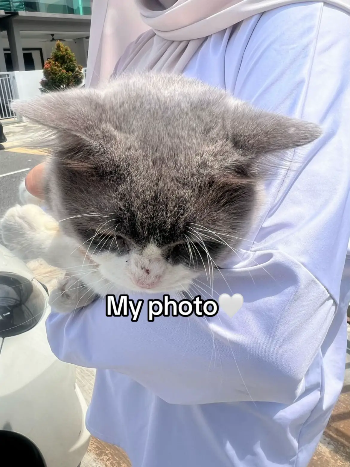 Rate the photo is you want💋#fypシ゚ #taktahu #lovlymoment 