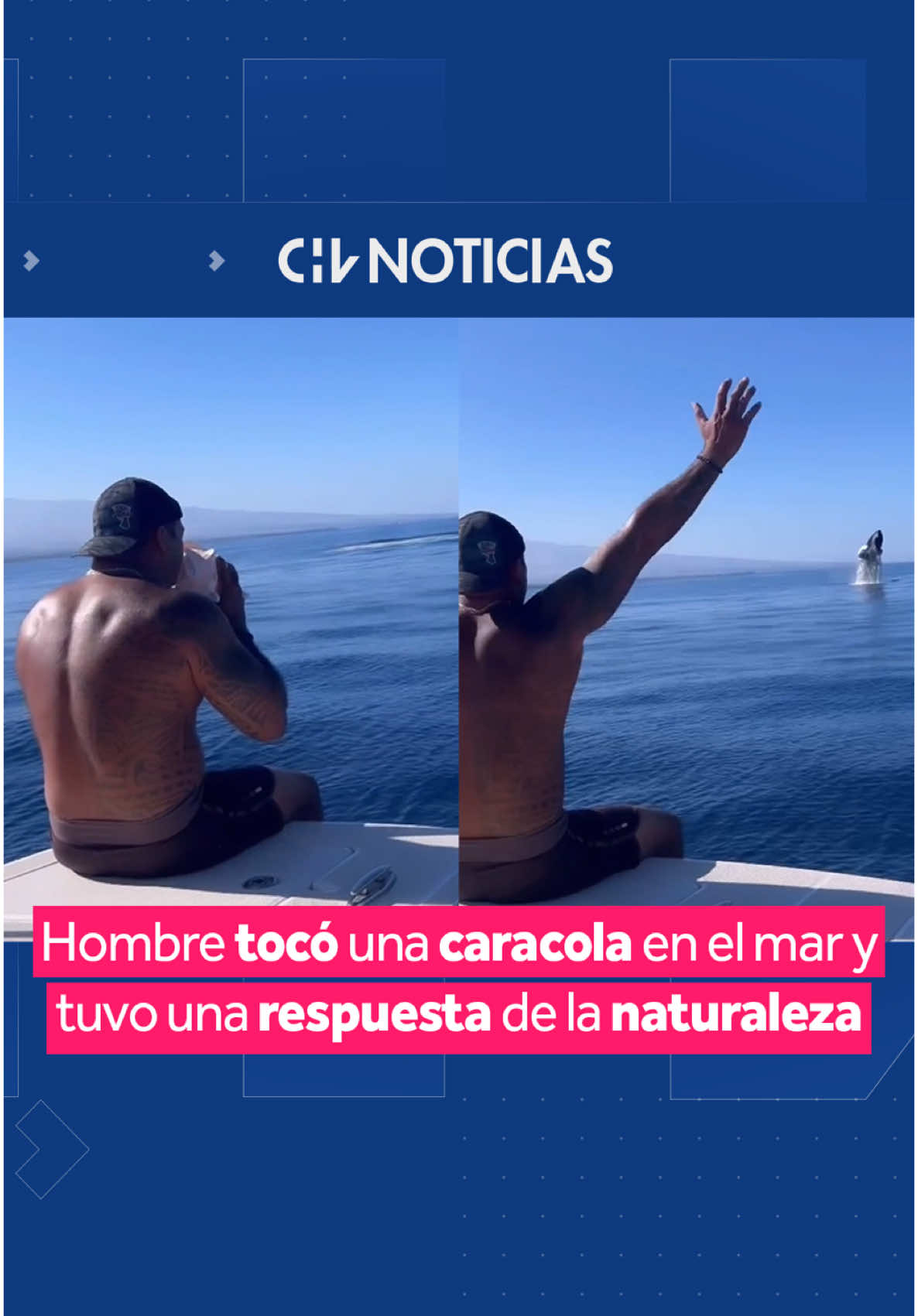 ¡La magia del océano! 🌊🌊🌊 👉🏼 Un hombre vivió un momento verdaderamente único mientras se encontraba en medio del mar. 🐚 Como se puede observar en las imágenes, en medio de aguas hawaianas, el joven tocó una caracola típica del país sin esperar que la naturaleza le respondería. 🐋 De un momento a otro, una ballena jorobada emergió desde las profundidades del mar como si estuviera saludando al hombre, quien volvió a tocar el instrumento a modo de agradecimiento. #CHVNoticias #ViralCHV #InternacionalCHV