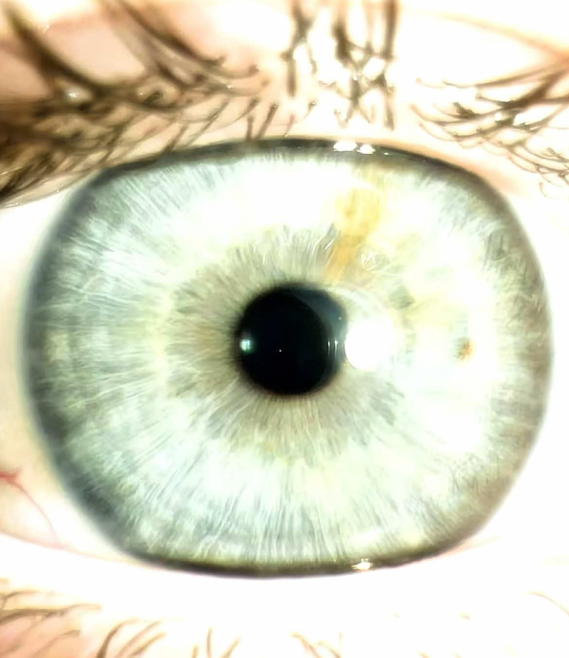 This took so long 💔 Sorry that not everyone was in here but there was to many eyes 😭 #fyp #dontletthisflop #xbcafyp #ellixy_0 #eyes #eyetrend #edit  @ana 🍝🌎  