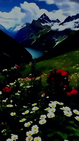 I Am Sorry.  #motivation #poitry_lovers #sad #pain #motivationalquotes 