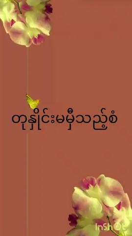 #ချစ်နှင်းမှုန်မှုန် #သီချင်းလေးကြိုက်လို့ပါ💙 #
