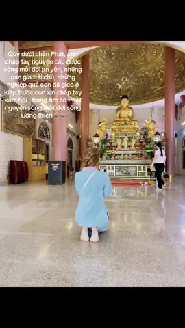 🪷🪷🪷#xuhuong #lenxuhuongcao 