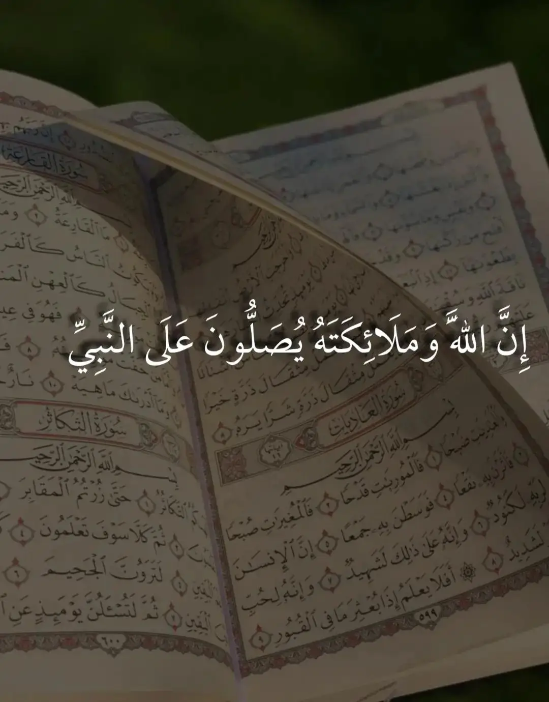 @ماهر الرحيلي 
