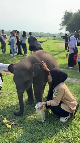 Pengen bawa pulang 🥹😭🥰