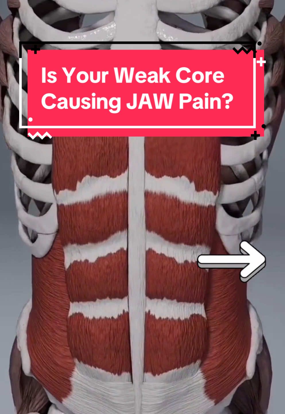 Check out the link in my bio if you need more help fixing Jaw Pain! Jaw pain is a complicated issue, and there are many things to consider from stress to joint issues to muscle spasms to dental issues to believe it or not your core and pelvic floor. I have had many patients tell me that when we strengthen the core they feel a relief in their jaw and it’s not a straightforward answer because there are many possible reasons for this. And in this video, I was able to come up with some that I think make the most sense. After the explanation, I show you a very straightforward core progression to engage the abdominals and begin building some core strength! #tmj #tmjdisorder #jawpain #tmd #dental #dentistry #dentistryworld #coreworkout #abdominais
