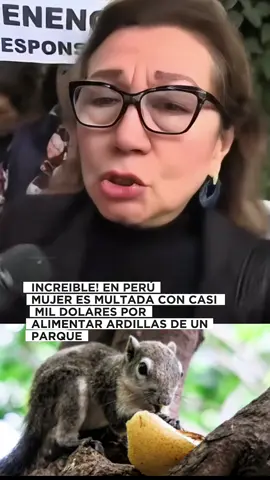 DE NO CREER 😞. Bajo ordenanza municipal mujer es multada por alimentar ardillas en un distrito de Lima, Perú. #fyp #viralvideos #lima #perú #noticias 