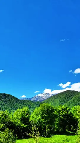Mən ki,körpəlikdən dəymə-düşərəm...