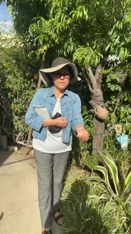 #tiktokfypシ #hija #papa #videos ##garden 