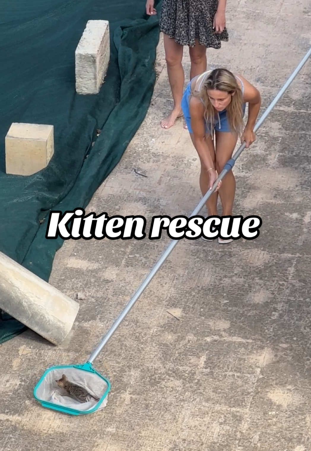 Rescuing a tiny kitten from a pool 😭 I swtg I am going to open a cat rescue this breaks my heart #catrescue #kitten #cat #straycat 
