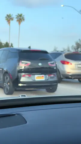 One of the best vanity plates I’ve ever seen #boreworms #baldandbeautiful #tsmadison @Ts Madison @Katya Zamolodchikova 