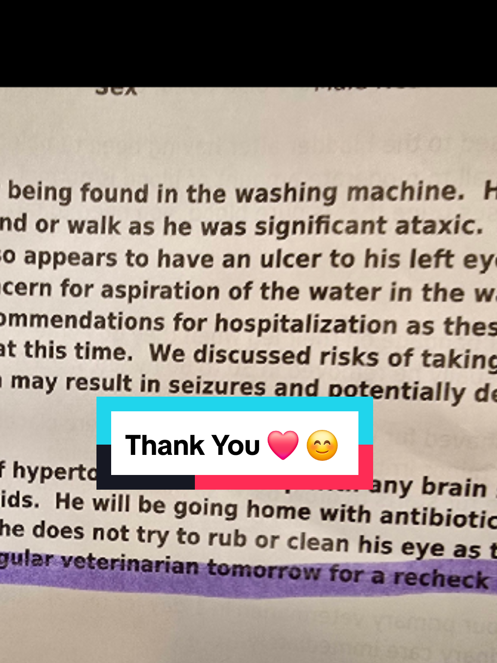 Replying to @themotivationalveteran We have movement! Thank you for the love and support 🐈😻🐈‍⬛️🐱 #henrythemagnificent #catsoftiktok #checkyourwasher #accidentshappen 