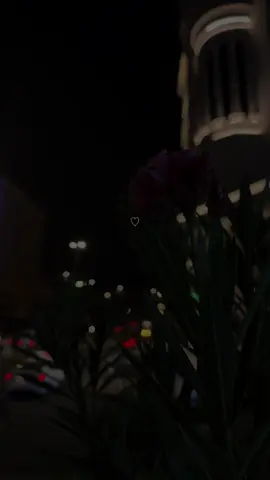 كل يوم في غيابك وش أبي به 😔♥️ @