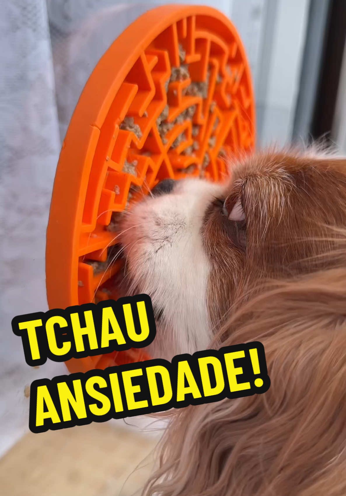 O tapete de lamber alivia a ansiedade e proporciona bem estar pro seu cão. Ajuda a diminuir a lambedura de patas, o latido excessivo e a energia acumulada. ⚠️ TODO TUTOR DEVERIA TER UM Avaliação 5 ⭐️⭐️⭐️⭐️⭐️ Produto no Brasil 🇧🇷  Entrega super rápida 🚀 Várias cores 🌈 👉🏼 O link está no nosso perfil, basta clicar nele e depois no banner laranja 🟠 💜 Sua missão é cuidar bem do seu cachorro #cachorro #petshop #enriquecimentoambiental #adestramento 