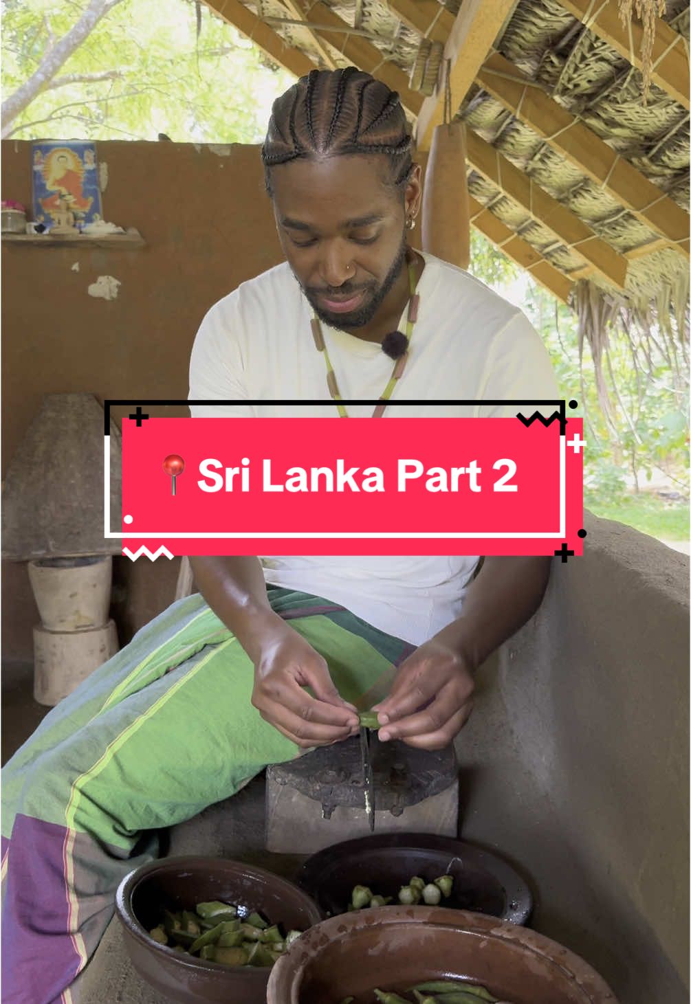 Pour le deuxième jour au Sri Lanka on a décidé de réserver une excursion avec @GetYourGuide  - visite du temple caverne de Dambulla - escalade du rocher du lion à Sigiriya #Vlog #dailyvlog #fy #foryou #pourtoi #voyage #trip #srilanka 