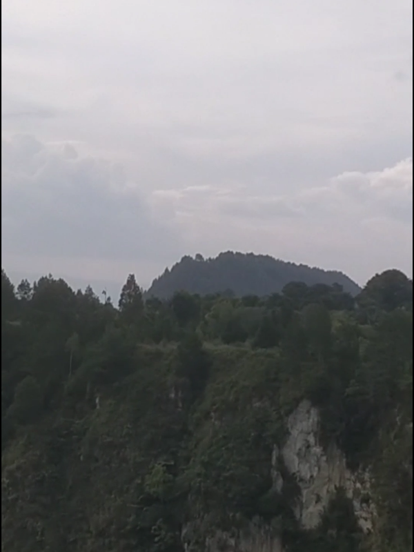 Yup belajar teratur setiap hari tidak semudah bila dikatakan. Perlu memiliki tekad dan kemauan tinggi emmmm setingginya kamu kira-kira lah untuk melakukan sesuatu. Sejauh ini saya mulai terbiasa belajar bahasa jepang setiap hari karena apa yup lebih baik setiap hari belajar bahasa jepang dari pada kamu menunda di hari itu esoknya akan lebih berat. Jadi saya belajar bahasa jepang ini menggunakan aplikasi Mazi di handphone bisa di laptop juga bisa. Karena saya sibuk saya sempatkan diri belajar dari handphone. Kan bila ada waktu senggang saya bukalah aplikasi Mazii buat belajar bahasa jepang. Mudah tahu digunakan. Malas catat tinggal salin lalu simpan dibuka catatan yang telah disediakan di aplikasi Mazii. Bila ingin mengingat apa yang telah dipelajari cus aja kembali buka catatan. Wah keren.    #mazii#maziidict#maziiindonesia#belajarbahasajepang#lebihbaiksetiaphari