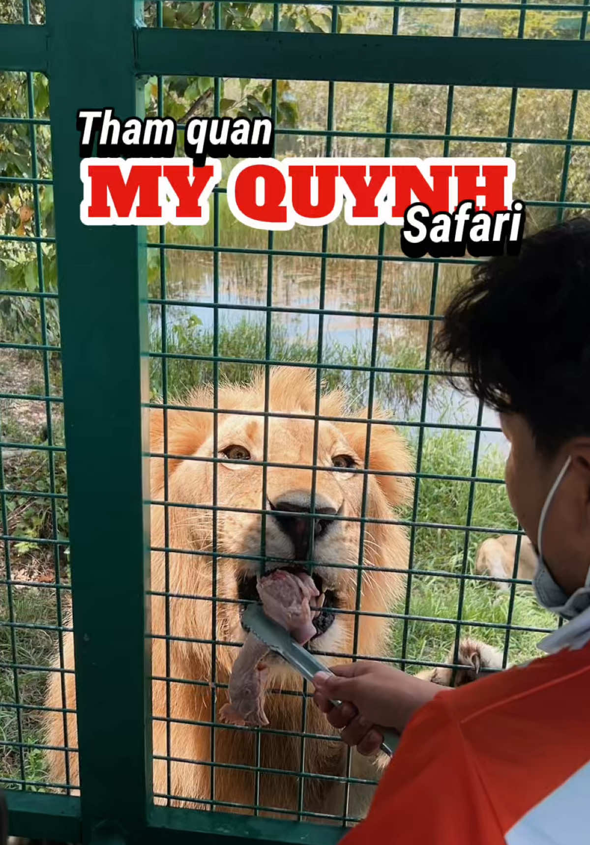 Hè này ai chưa biết đi đâu thì ghé đây tham quan đc nè #dulichgansaigon #didaudaryan #myquynhsafari #safari 