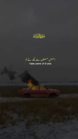 Surah Al Nisaa: Aayat 19_22and ✨ . . . . #allah❤️ #islamic_video #real #shayan_513 #unfrezzmyaccount 