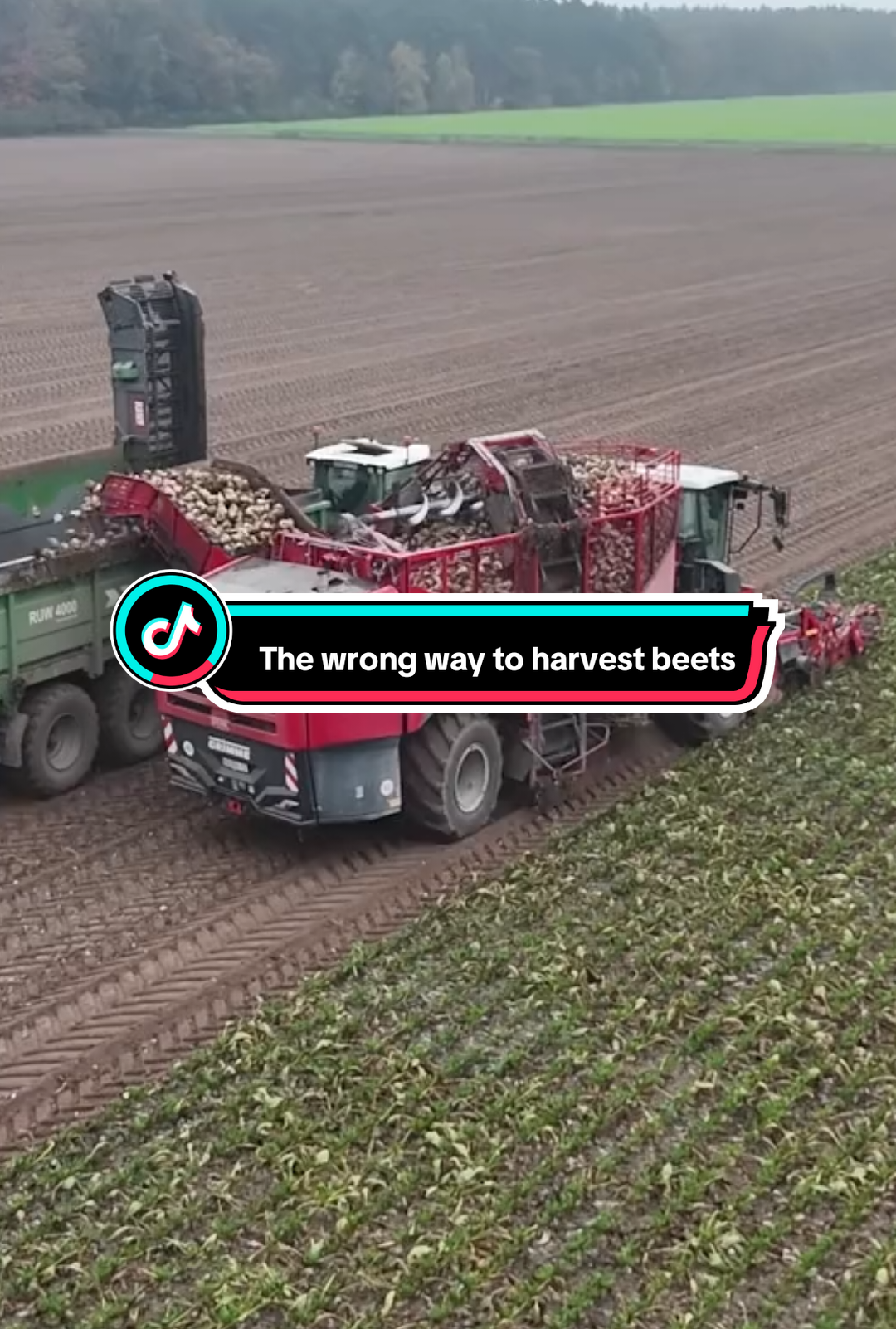 Episode 197 | The wrong way to harvest beets #Grimaud Beet Harvester Get the opportunity 